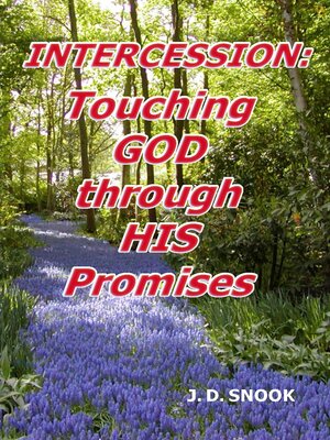 cover image of INTERCESSION